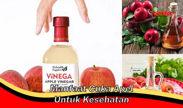 manfaat cuka apel untuk kesehatan