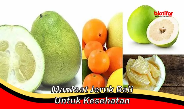 manfaat jeruk bali untuk kesehatan