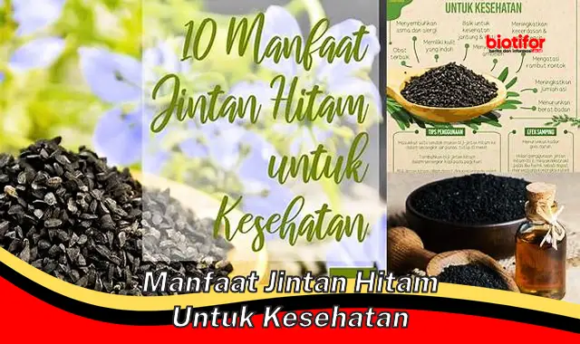 manfaat jintan hitam untuk kesehatan