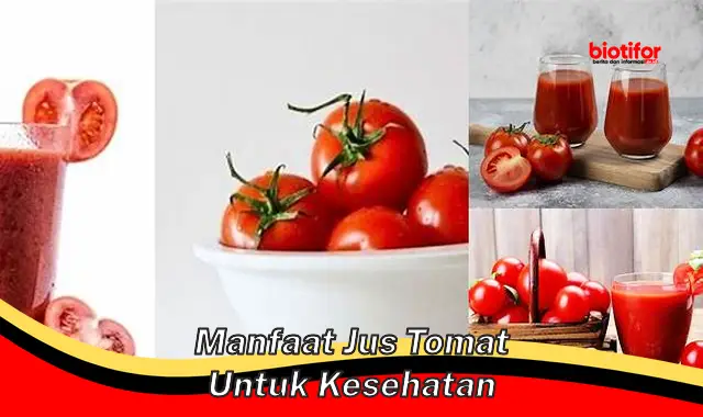 manfaat jus tomat untuk kesehatan