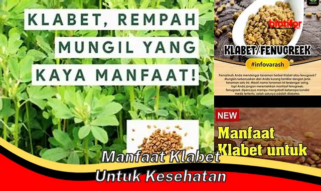 manfaat klabet untuk kesehatan