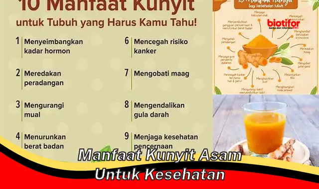 Temukan 7 Manfaat Kunyit Asam Untuk Kesehatan Yang Jarang Diketahui