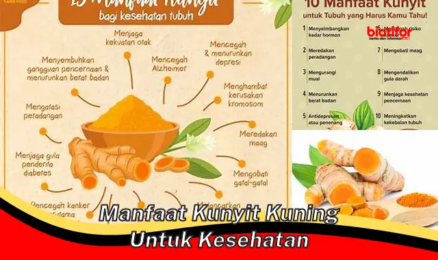 manfaat kunyit kuning untuk kesehatan