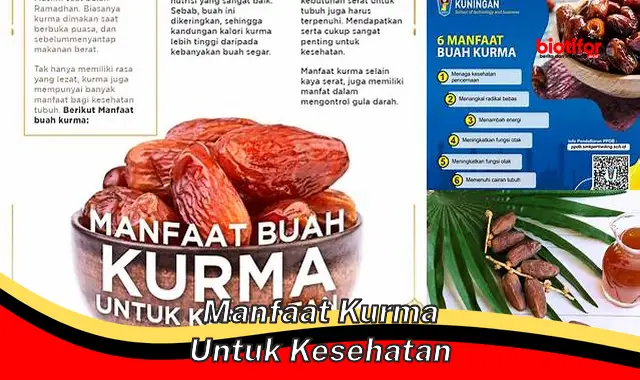 manfaat kurma untuk kesehatan