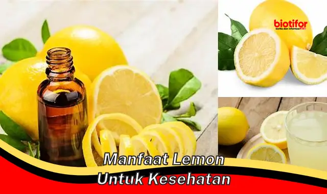 manfaat lemon untuk kesehatan