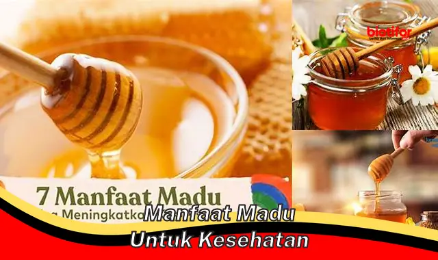 manfaat madu untuk kesehatan