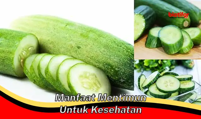 manfaat mentimun untuk kesehatan