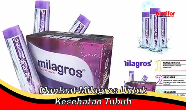 manfaat milagros untuk kesehatan tubuh