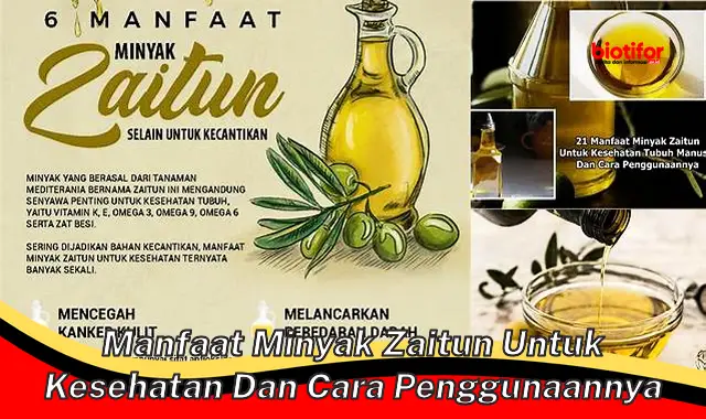 manfaat minyak zaitun untuk kesehatan dan cara penggunaannya