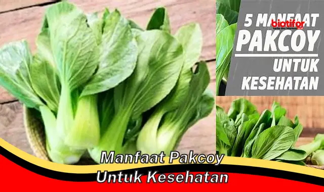 manfaat pakcoy untuk kesehatan