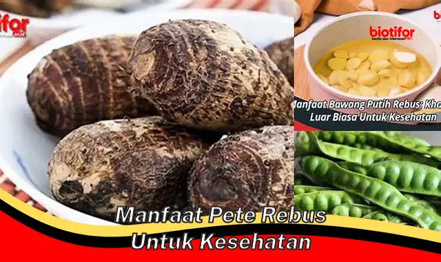 manfaat pete rebus untuk kesehatan