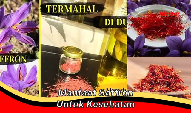 manfaat saffron untuk kesehatan