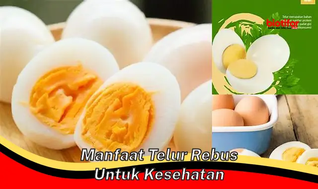 Temukan Manfaat Telur Rebus Yang Jarang Diketahui Untuk Kesehatan Anda