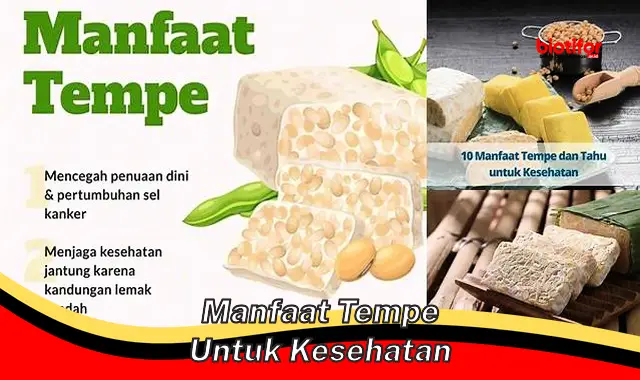 manfaat tempe untuk kesehatan