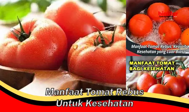 manfaat tomat rebus untuk kesehatan