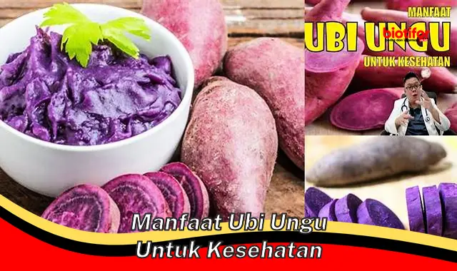 manfaat ubi ungu untuk kesehatan