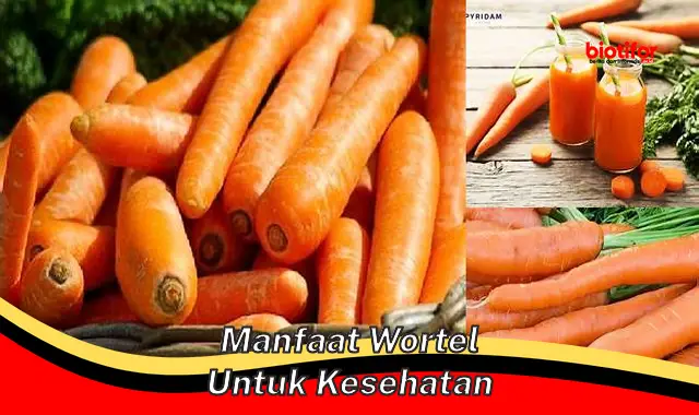 manfaat wortel untuk kesehatan