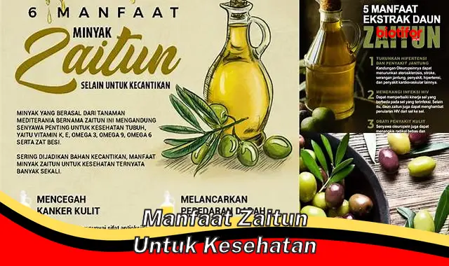 manfaat zaitun untuk kesehatan