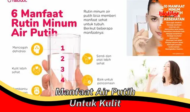 manfaat air putih untuk kulit