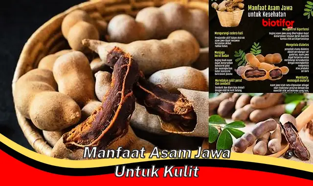 manfaat asam jawa untuk kulit