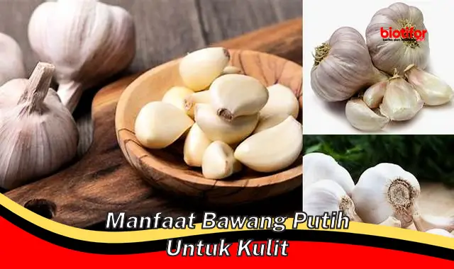 manfaat bawang putih untuk kulit