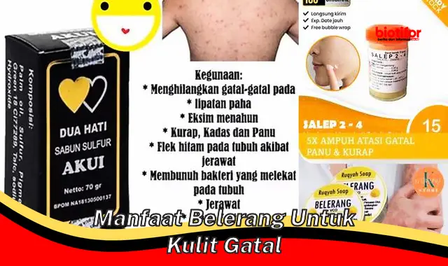 manfaat belerang untuk kulit gatal