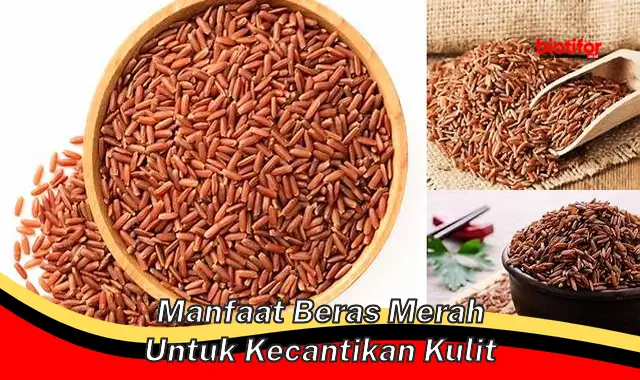 manfaat beras merah untuk kecantikan kulit