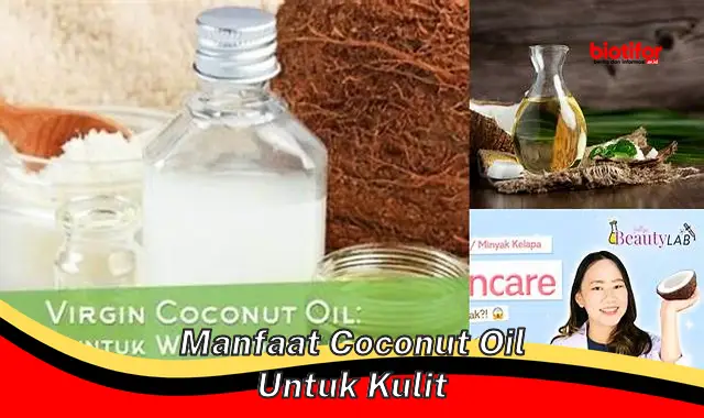 manfaat coconut oil untuk kulit