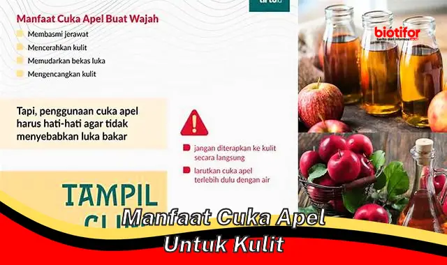 manfaat cuka apel untuk kulit