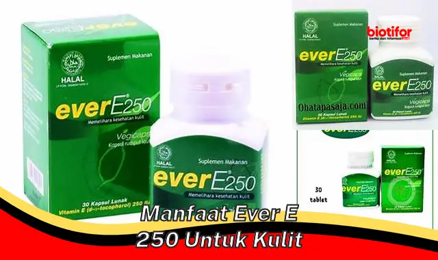 manfaat ever e 250 untuk kulit