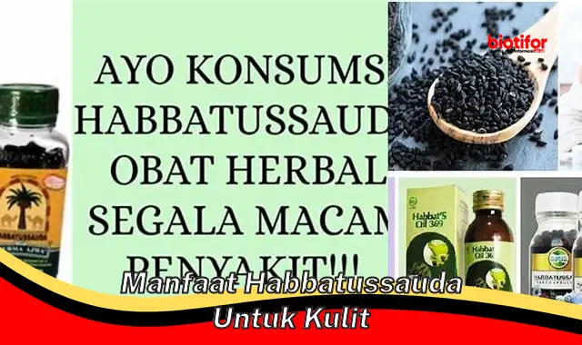 manfaat habbatussauda untuk kulit