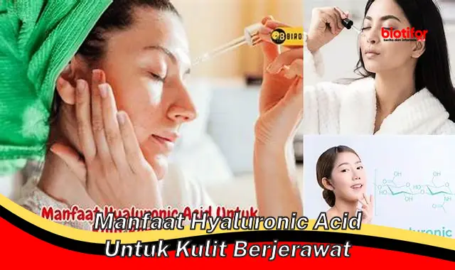 manfaat hyaluronic acid untuk kulit berjerawat