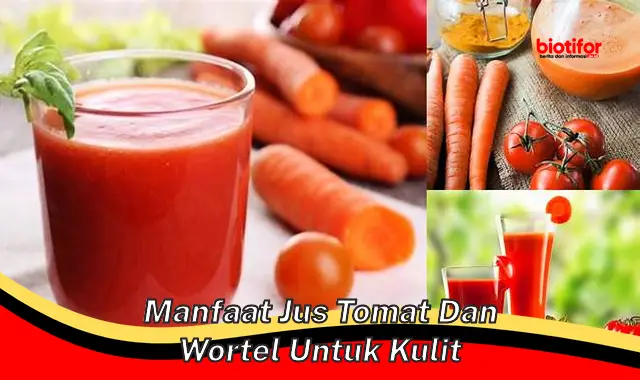 manfaat jus tomat dan wortel untuk kulit