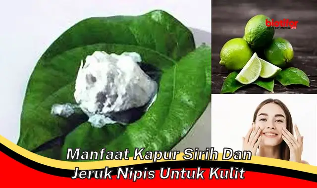 manfaat kapur sirih dan jeruk nipis untuk kulit