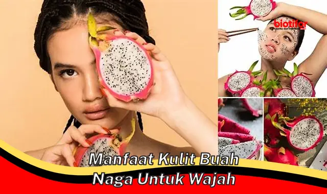 manfaat kulit buah naga untuk wajah