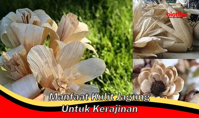 manfaat kulit jagung untuk kerajinan