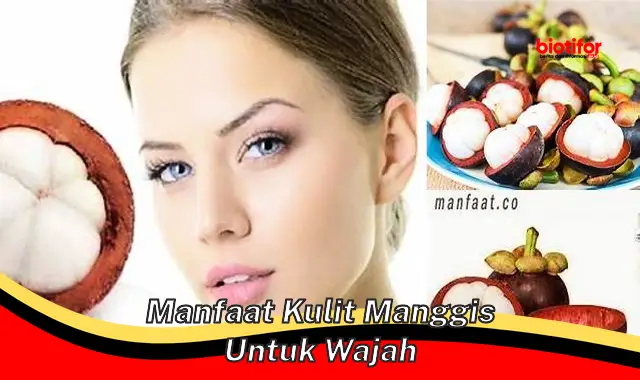 manfaat kulit manggis untuk wajah