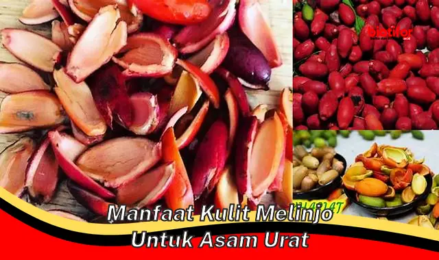 manfaat kulit melinjo untuk asam urat