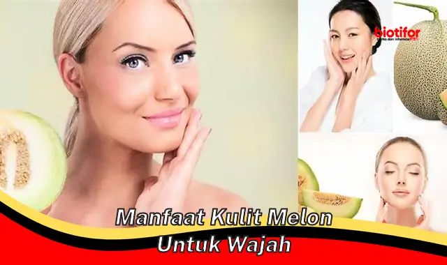 Temukan Rahasia Kulit Melon yang Jarang Diketahui untuk Wajah Anda