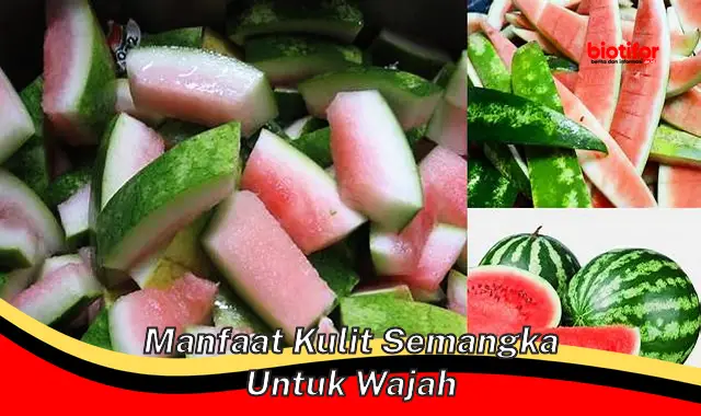 manfaat kulit semangka untuk wajah