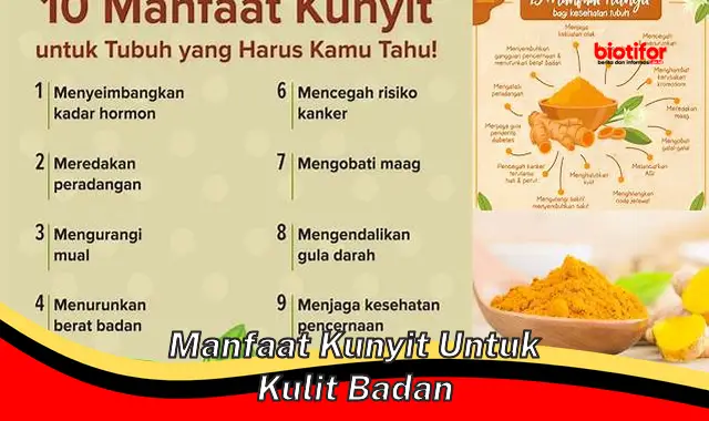 manfaat kunyit untuk kulit badan