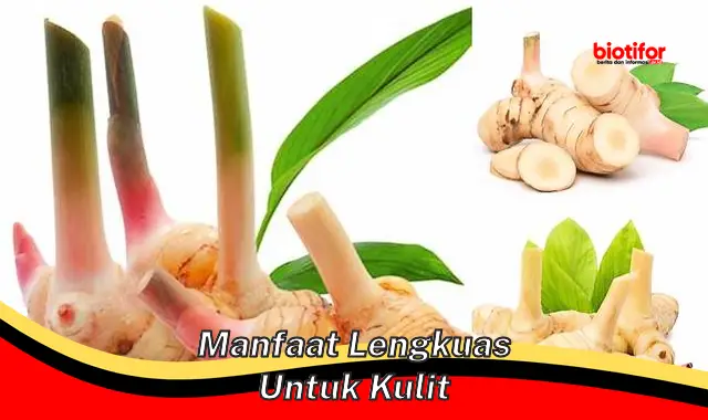 manfaat lengkuas untuk kulit