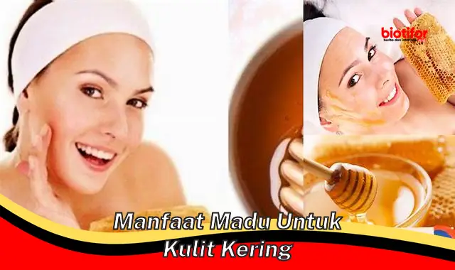 manfaat madu untuk kulit kering