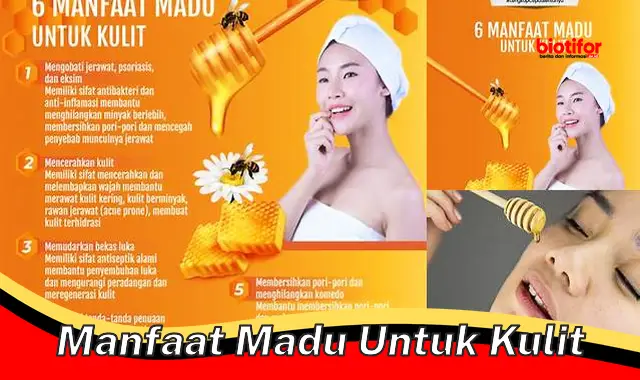 manfaat madu untuk kulit