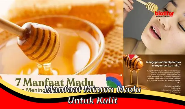 manfaat minum madu untuk kulit