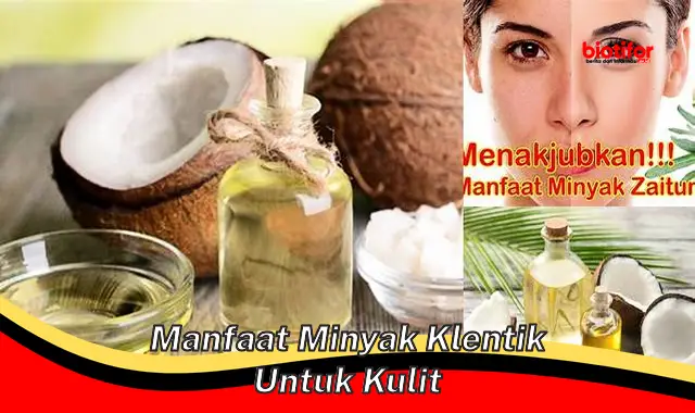 manfaat minyak klentik untuk kulit