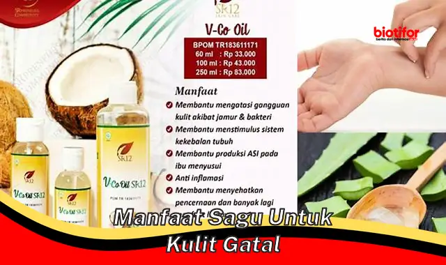 manfaat sagu untuk kulit gatal