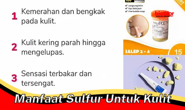 manfaat sulfur untuk kulit