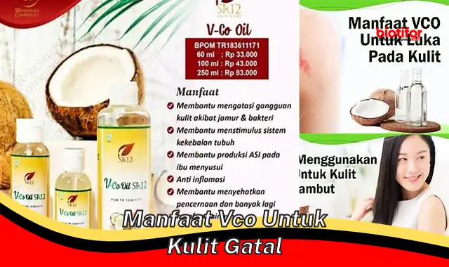 manfaat vco untuk kulit gatal