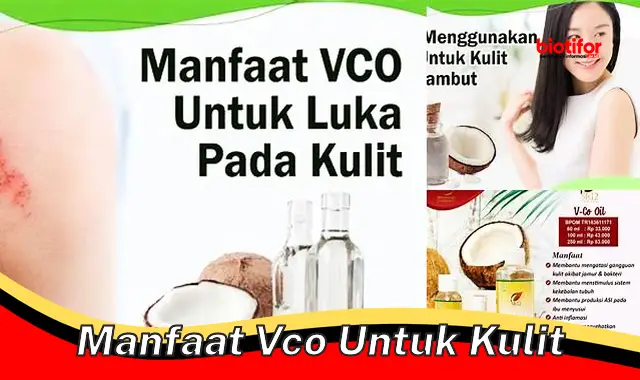 manfaat vco untuk kulit